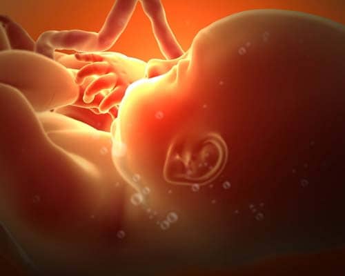 Bindung zum ungeborenem Baby