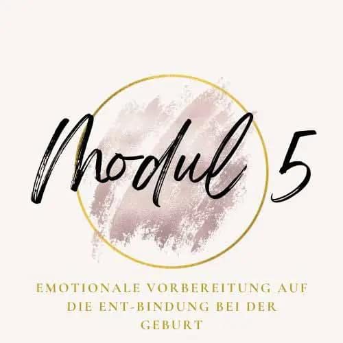 Modul-5-Emotionale-Vorbereitung-auf-die-Entbindungbei-der-Geburt